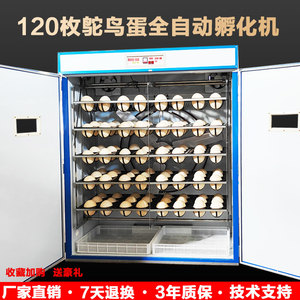 鸵鸟蛋孵化器全自动