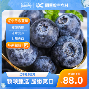 【数乡宝藏】辽宁丹东蓝莓8盒*125g新鲜当季水果包邮a