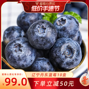 【心愿手速节】辽宁丹东蓝莓10盒*125g新鲜当季水果包邮a