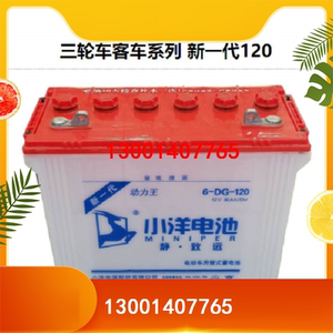 小洋蓄电池6-dg-120电动三轮车观光拉坯车用48v60v72v 牵引水电瓶