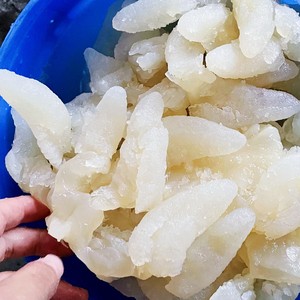 【珊瑚海蜇头】手指海蜇桶装净重5斤海蜇花宴会酒店食材凉拌菜