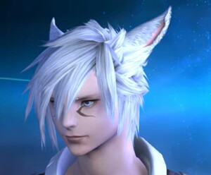 最终幻想14 ff14捏脸数据 猫男猫魅族