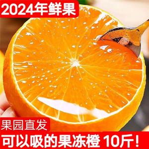青见果冻橙新鲜橙子10斤水果当季整箱橘子四川大果桔子