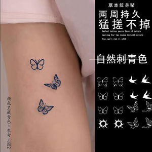 纹身贴草本半永久小图案蝴蝶太阳手指防水女持久仿真高级感ins风