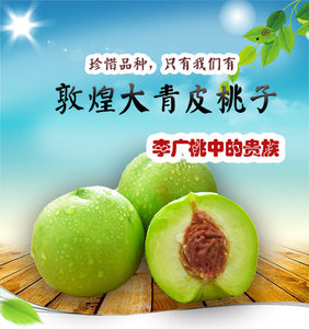 敦煌李广桃大青皮桃子紫胭桃甘肃新鲜水果甜离核现摘现发敦煌桃子