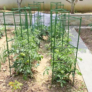 西红柿番茄架子阳台种植架豆角黄瓜爬藤架包塑钢管支撑架植物固定