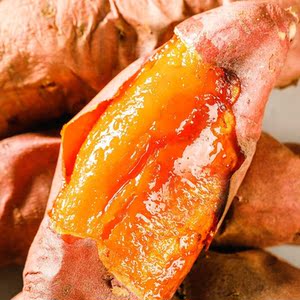 新鲜红薯红安苕地瓜小香薯超甜番薯沙地农家红薯湖北特产新