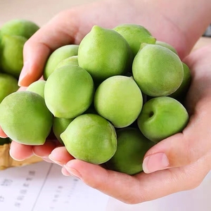 【现货】诏安特产青梅果大果2斤新鲜酸梅果孕妇水果泡酒酵素6