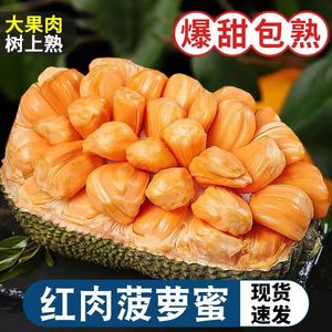 越南红肉菠萝蜜红心新鲜水果当季木波罗蜜8-20斤一整个大果包邮