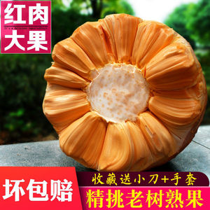 越南红肉菠萝蜜红心当季新鲜水果当季木波罗蜜8-20斤整个大果包邮