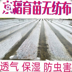 水稻育秧布农用无纺布花草树育苗抗老化土工布薄膜地膜透气懒汉膜