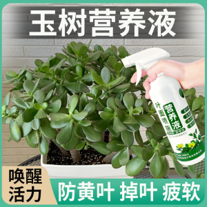 玉树专用肥料叶面喷施营养液花肥绿叶宝植物养花通用生长活力素