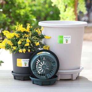 小果汀花盆爱丽丝造型多肉兰专用一次性塑料五加仑六角青山吊兰花