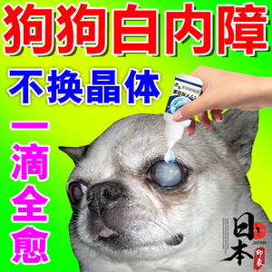 好优多宠物淘宝狗狗白内障滴眼液宠物猫咪专用眼药水老年犬抑初期
