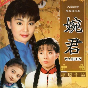 六个梦之婉君 妈妈奶奶爱看琼瑶言情苦情家庭电视剧dvd碟片光盘