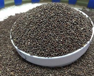 45蜻蜓的尾巴淘宝四川特产山货黑苏麻 黑苏子苏麻籽可炖鸭煲汤糍粑