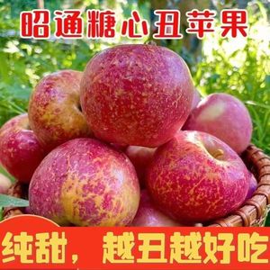 现摘云南昭通市丑苹果水果新鲜整箱当季5斤红露富士糖心苹果绍通