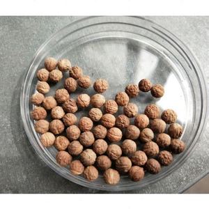 精选酸枣核散珠国产小凤眼颗颗精挑爆肉手串佛珠菩提子文玩现打孔