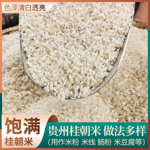 桂朝米贵朝米10斤米米粉米豆腐凉皮肠粉米线专用大米早米糙米