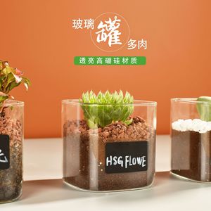 小型居家可爱花瓶手工玻璃方型摆件新年创意多肉植物玻璃花盆批发