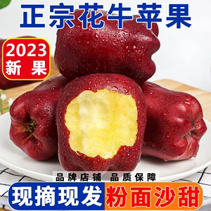【超低价】天水花牛苹果10斤应季新鲜水果红蛇果批发整箱价3斤5斤