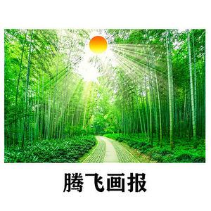 竹林沙发电视背景墙装饰画绿色竹子图客厅卧室红太阳墙贴壁画海报