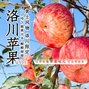东方甄选洛川苹果甜脆 5斤/8.5斤装新鲜水果 坏果包赔顺丰发货
