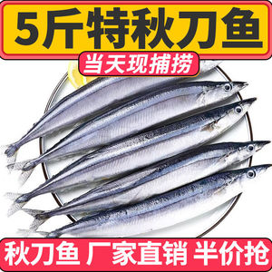 秋刀鱼新鲜冷冻4斤特大号深海鱼海鲜水产日式烧烤食材顺丰包邮