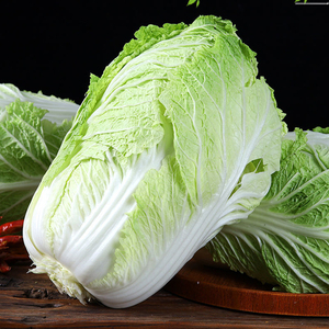 原厂彩包大白菜种子蔬菜白菜种籽四季种孑青菜白菜种菜籽秋冬夏季