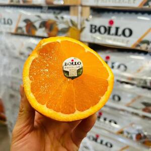 西班牙BOLLO｜橙子原箱装大果脐橙当季水果新鲜进口品种脐橙