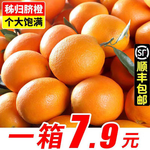 正宗秭归伦晚脐橙10斤整箱新鲜水果湖北宜昌纽荷尔大橙子冰糖甜橙