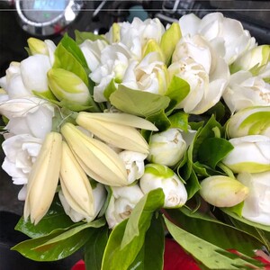 鲜切鲜花栀子花长枝条多头栀子花带花苞大花新鲜花束小叶重瓣浓香