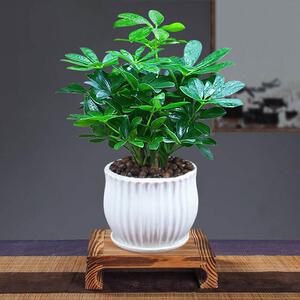 sg320zxb-淘宝拼多多热销sg320zxb货源拿货 - 阿里巴巴货源