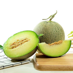 山东玲珑瓜10斤海阳网纹蜜瓜哈密瓜新鲜水果香瓜甜瓜