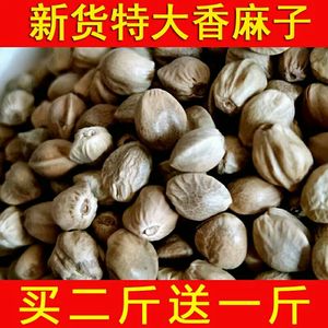 甘肃天水特产熟麻子包邮五香大粒火麻子新货人吃包邮现炒生麻籽