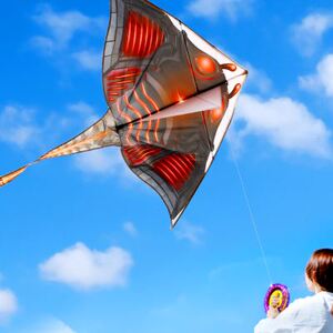 魔鬼鱼风筝
