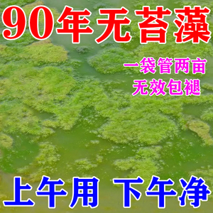 鱼塘除藻剂鱼池除绿水清除剂青苔一次净蓝藻分解素酶灭除绿藻克星