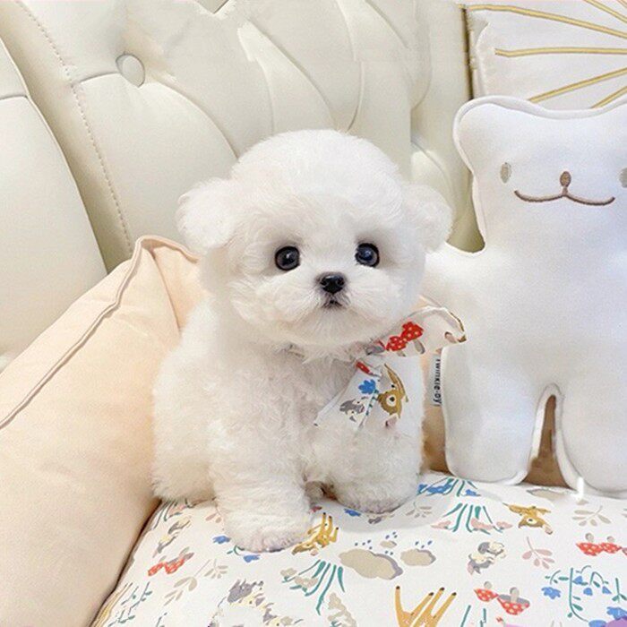 图片新闻 - 赣榆教育在线开元棋牌- 开元棋牌官网 - 开元棋牌APP下载