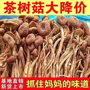 古田茶树菇新货干货500g农家新鲜茶薪菇特级无硫俏香菇蘑菇金针菇
