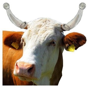 牛用防顶器大号畜牧防撞器 箍牛角套牛犄角保护套 养牛设备牛用品