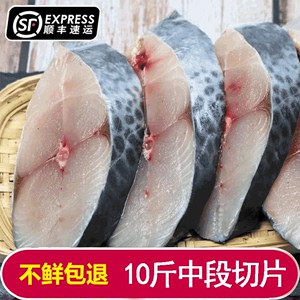 【10斤大鲅鱼段】马鲛鱼新鲜鲜活冷冻鲅鱼中段海鱼海鲜水产燕尾鲅