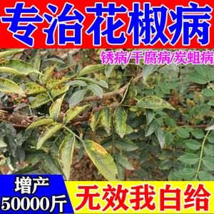 000人付款淘宝超能座果王草莓苹果番茄坐果灵防落素防裂果保花保果药