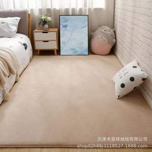 加厚纯色珊瑚绒短绒地毯简约客厅地毯满铺卧室床边地垫榻榻米地垫