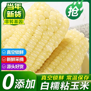 白糯玉米真空包装新鲜甜粘玉米低脂0添加东北苞谷棒子黏玉米整箱