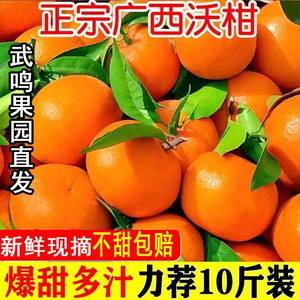 广西新鲜南宁10斤水果当季现摘时令整箱包邮大果橘子一级