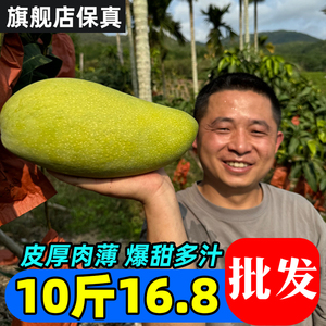 【大青芒】10斤越南进口大青芒非金煌芒果当季新鲜热带水果进口