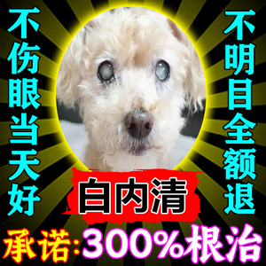 狗狗白内障专用眼药水宠物猫咪滴眼液老年犬角膜发炎流脓日本千寿
