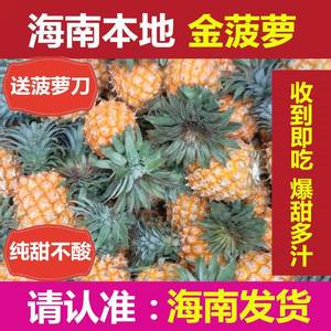 海南三亚小菠萝新鲜孕妇水果波萝10斤金菠萝整箱金钻菠萝凤梨香水