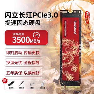 长江固态硬盘1t m2电脑笔记本台式机M.2 Pcie3.0 Nvme存储SSD 2TB