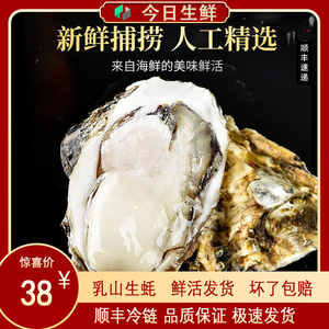 【5斤活生蚝】乳山特大号生蚝牡蛎5斤鲜活新鲜带壳生吃海蛎子